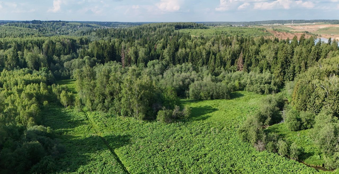 земля городской округ Дмитровский д Удино 31 км, Икша, Рогачёвское шоссе фото 12