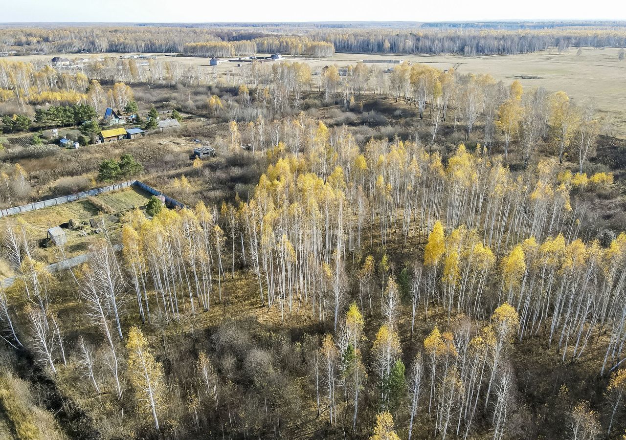 земля р-н Нижнетавдинский снт Моторостроитель Тюмень фото 9