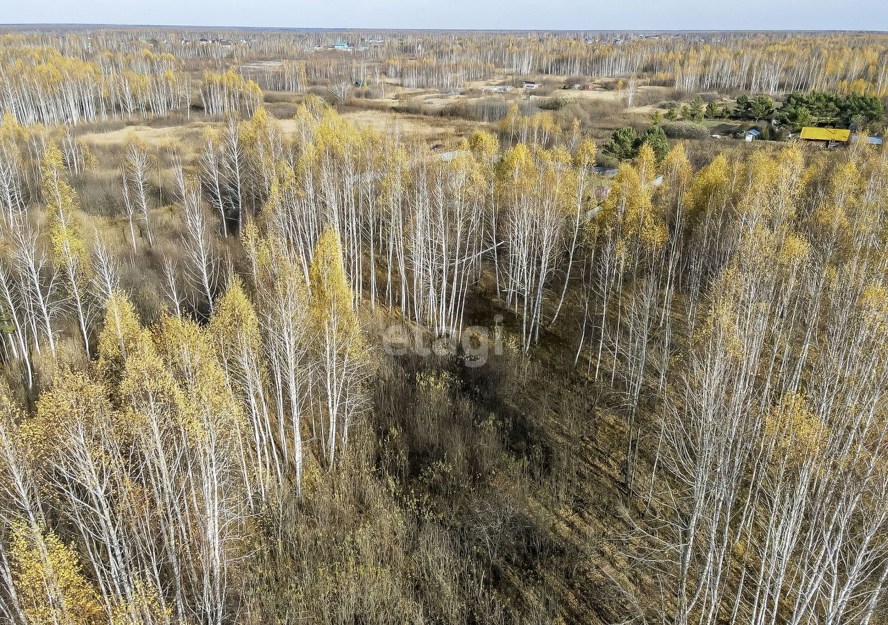 земля р-н Нижнетавдинский снт Моторостроитель Тюмень фото 7