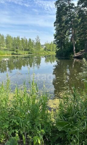 Барышевский сельсовет, Новосибирск фото