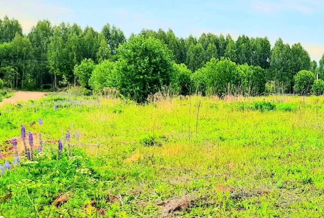 земля р-н Завьяловский тер ДНТ Соловушки Ижевск фото 9