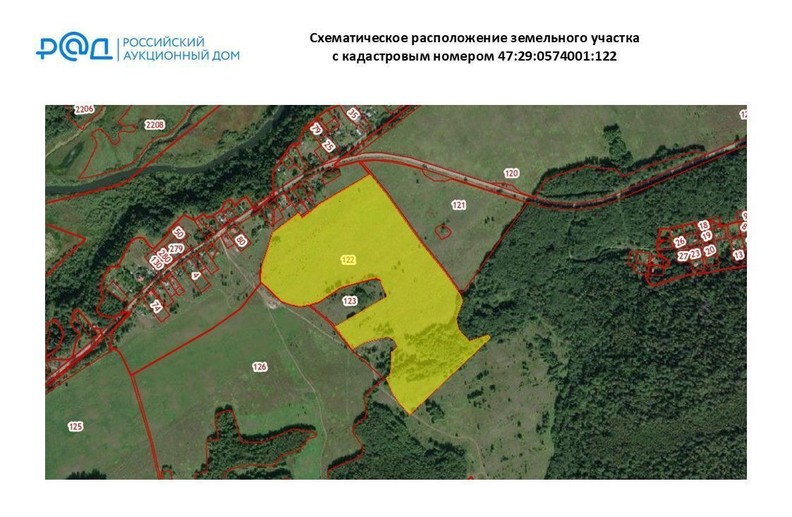 земля р-н Лужский п Толмачево Киевское шоссе, 9818 км, Ям-Тёсовское сельское поселение фото 3