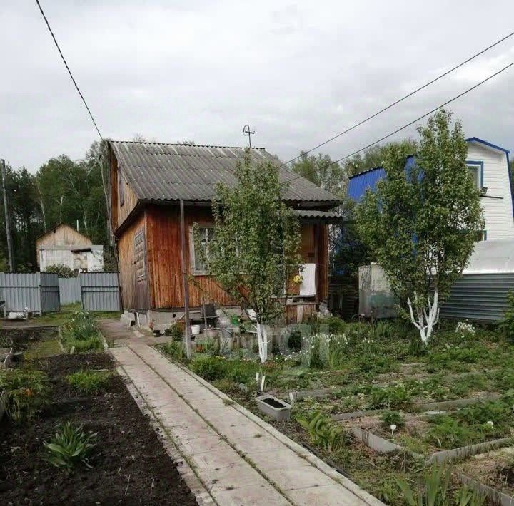 земля р-н Тюменский снт Искатель ул Образцовая фото 3