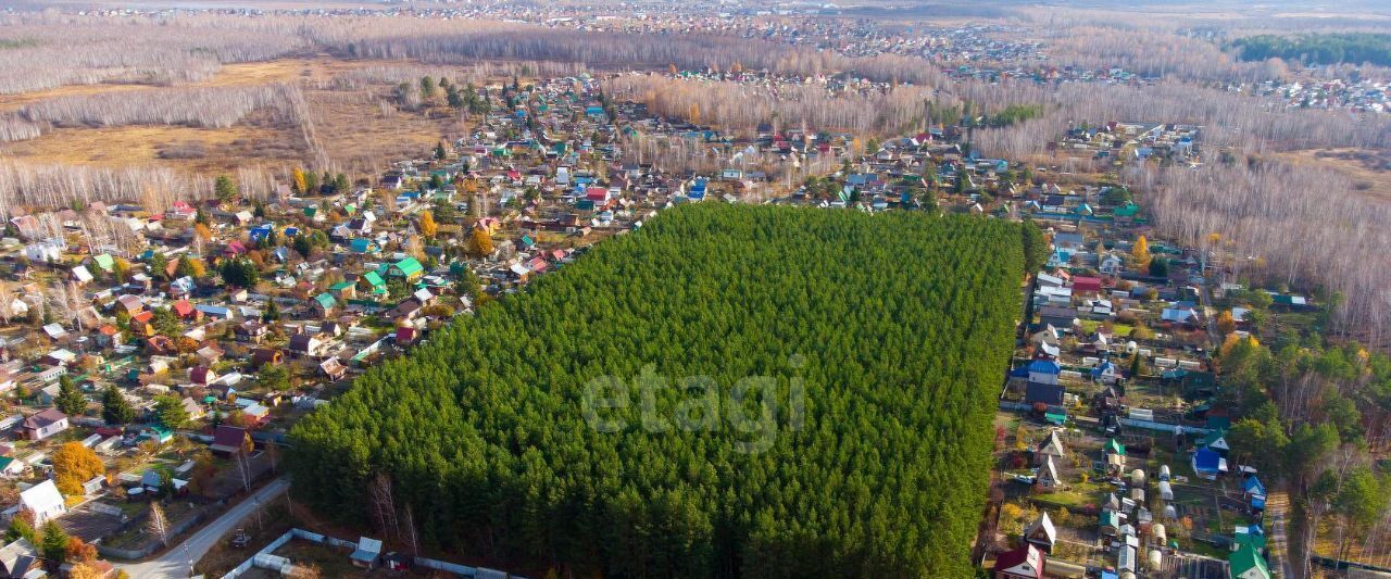 земля р-н Тюменский снт Искатель ул Образцовая фото 10