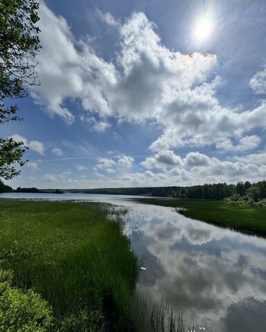 Приморское шоссе, 48 км, Приморское городское поселение фото