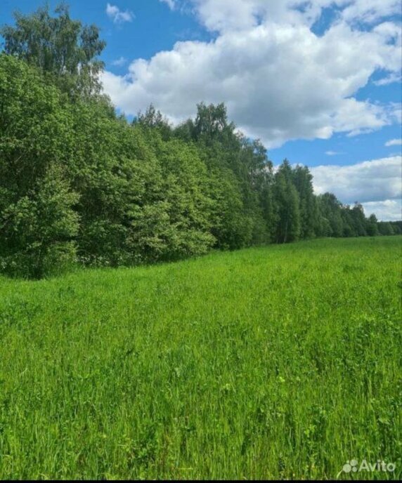 земля городской округ Можайский д Красный Стан 16 фото 3