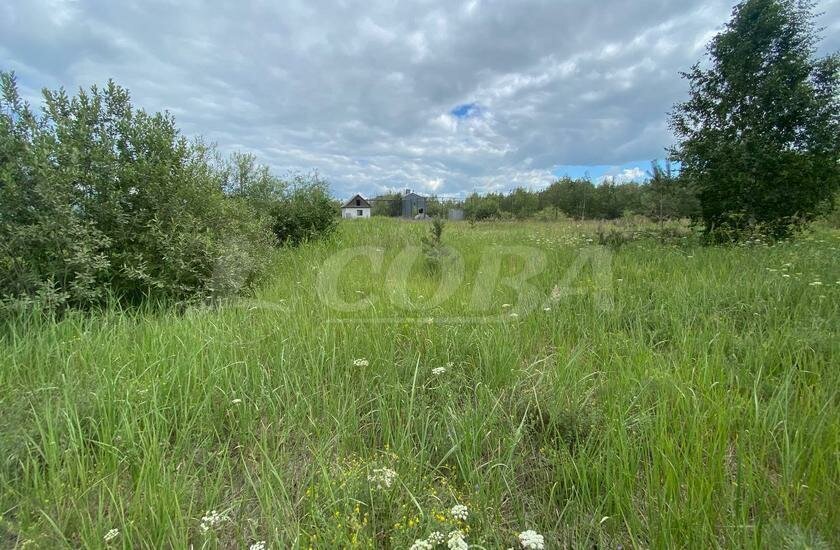 земля г Тюмень снт терОгонек фото 2