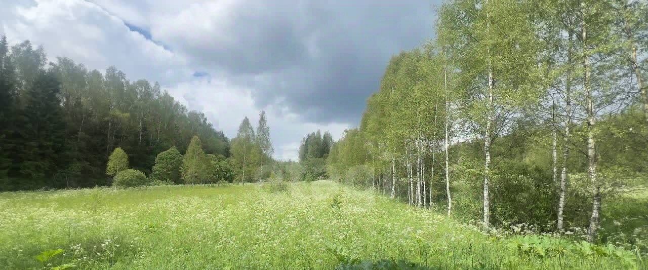 земля г Луховицы снт Звезда Волоколамский городской округ фото 3