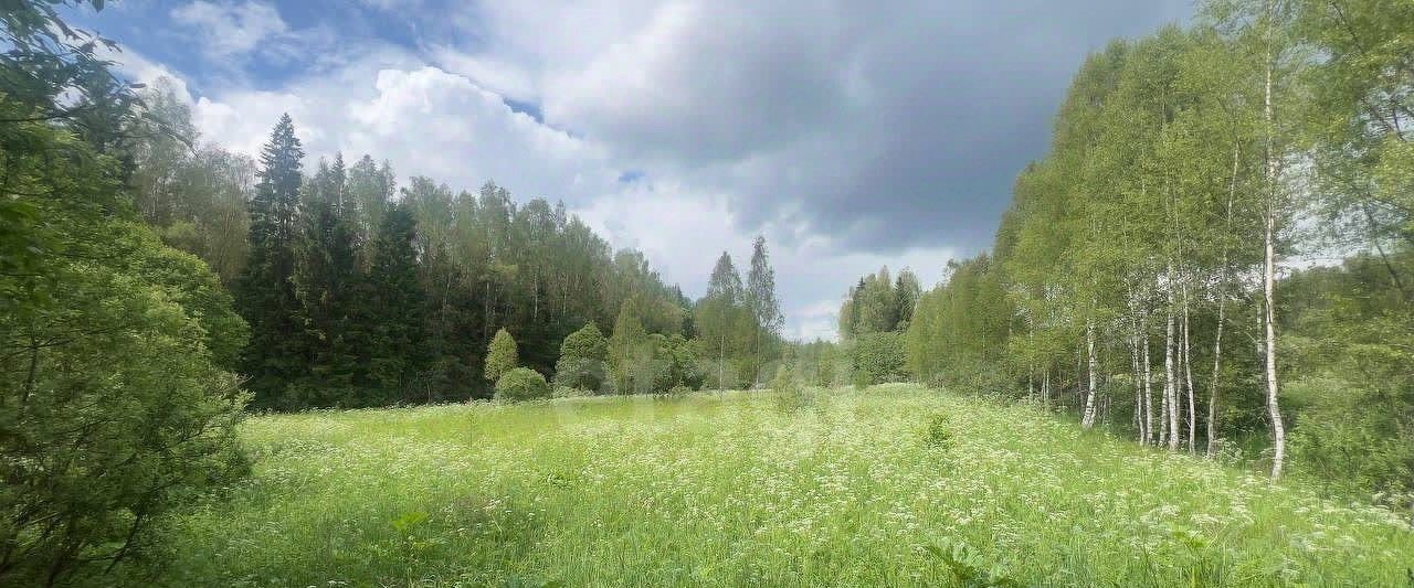 земля г Луховицы снт Звезда Волоколамский городской округ фото 5