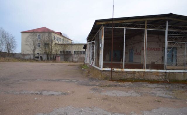 производственные, складские г Волосово Волосовское городское поселение фото