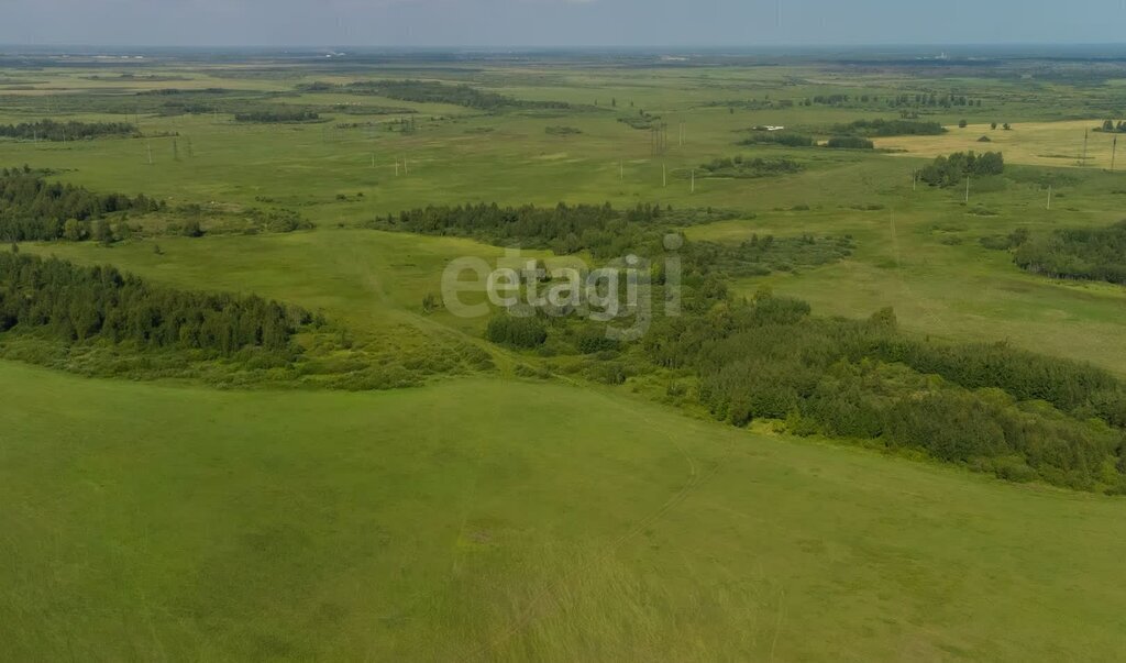 земля р-н Тюменский с Яр фото 3