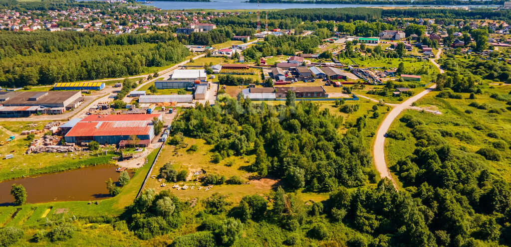 земля г Светлый п Волочаевское ул Центральная Светловский городской округ фото 12