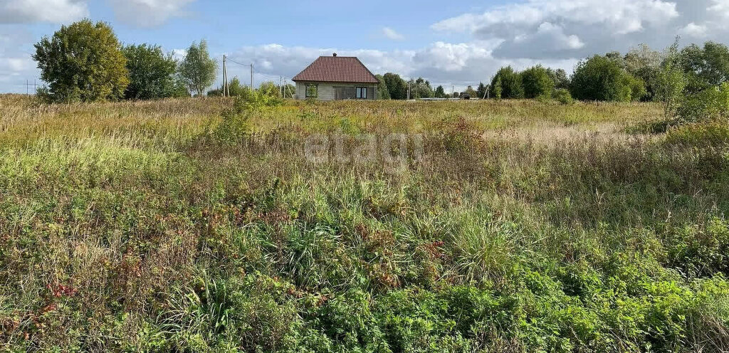 земля р-н Гурьевский п Цветково Новомосковское сельское поселение фото 3