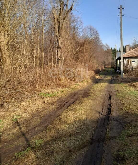 земля г Светлый п Взморье Светловский городской округ фото 5