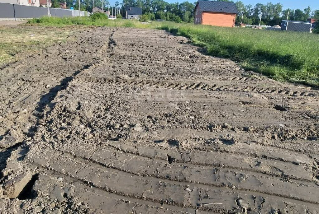 земля р-н Зеленоградский п Куликово снт Светлогорское Зеленоградский муниципальный округ фото 12