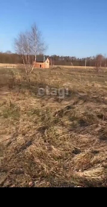 земля р-н Багратионовский п Раздольное Багратионовский муниципальный округ фото 6