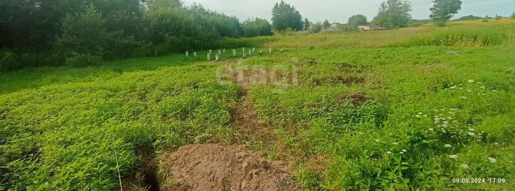 земля р-н Зеленоградский п Осокино снт тер.Природа Зеленоградский муниципальный округ фото 11