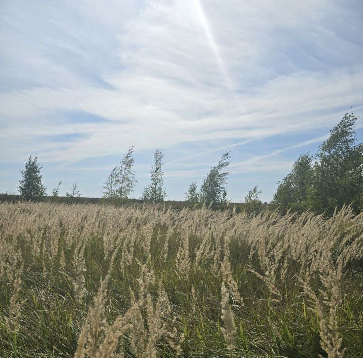 земля городской округ Воскресенск д Городище фото 2