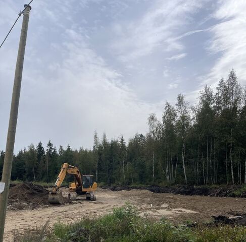 п Лебяжье проезд Большой Ландышевый Рощинское городское поселение фото