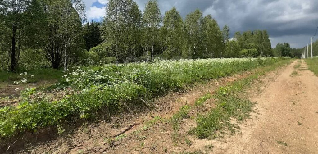 земля г Луховицы снт Звезда Волоколамский городской округ фото 4