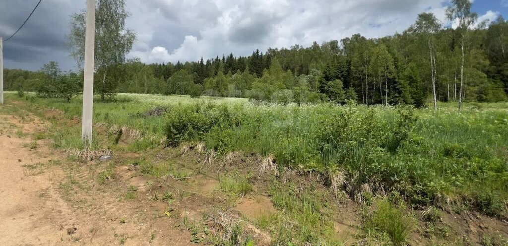 земля г Луховицы снт Звезда Волоколамский городской округ фото 7