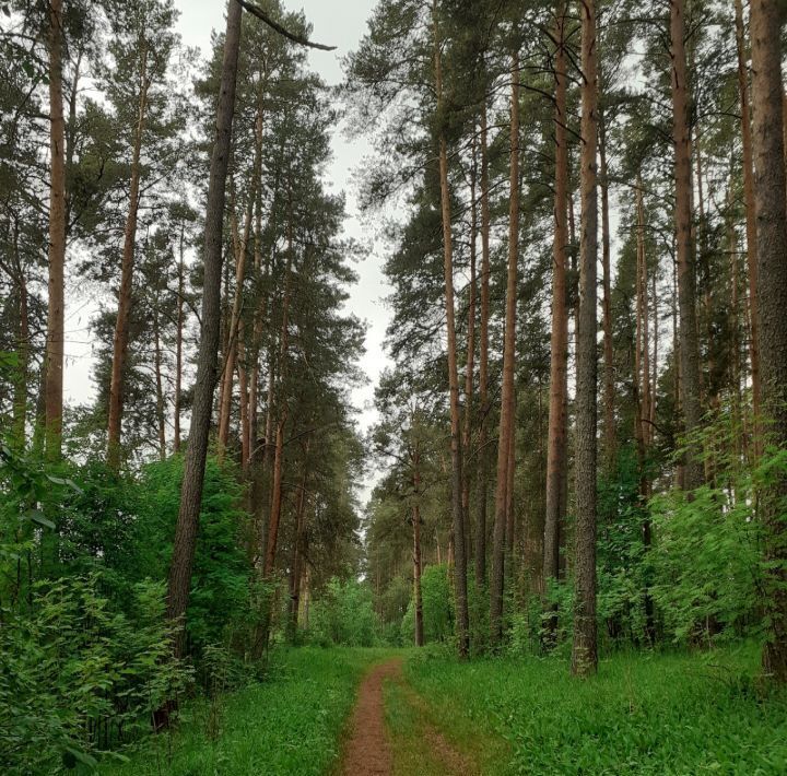 квартира р-н Фировский п Сосновка ул Школьная 91 фото 14