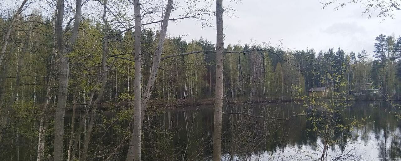 земля р-н Всеволожский Московское шоссе, 9741 км, Свердловское городское поселение, коттеджный пос. Уютный Берег, Отрадное фото 3