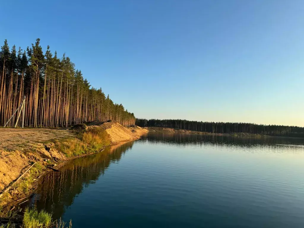 дом р-н Калининский д Савватьево СНТ Бабурки территория, 26 фото 46