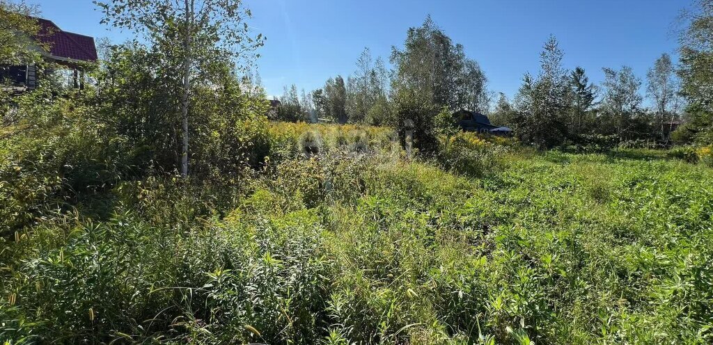 земля г Хабаровск р-н Железнодорожный ул Вишневая фото 4