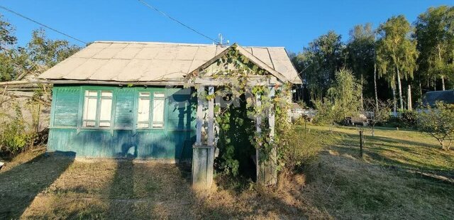 Нетьинское сельское поселение, СДТ Камвольщик фото