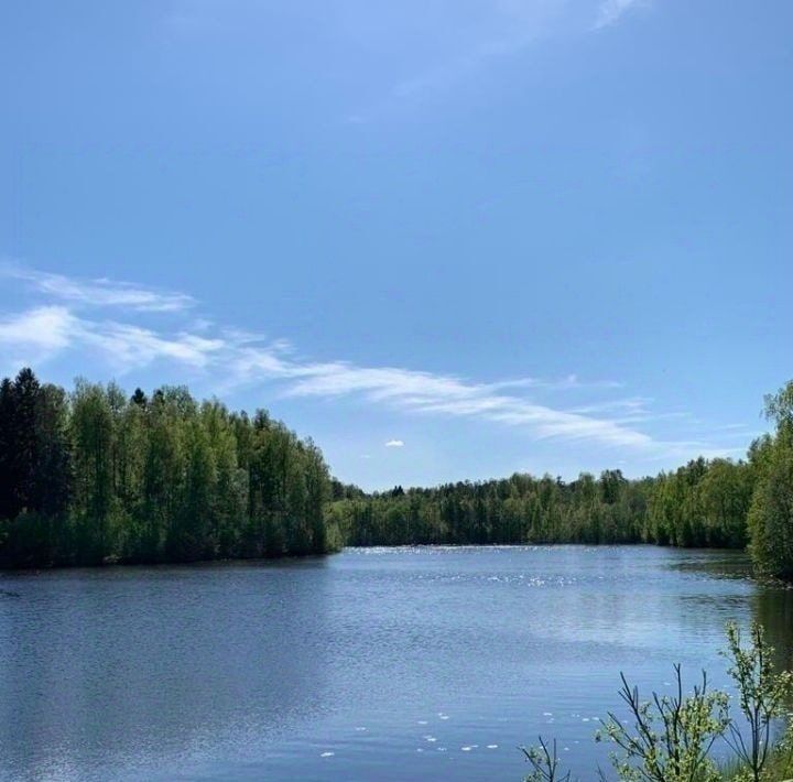 земля р-н Всеволожский снт Озерное Токсовское городское поселение, ул. Большая Озерная фото 4