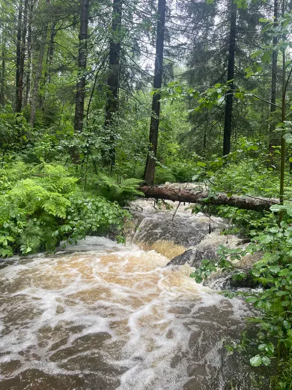 дом р-н Кусинский рп Магнитка ул Таганайская 13 фото 4