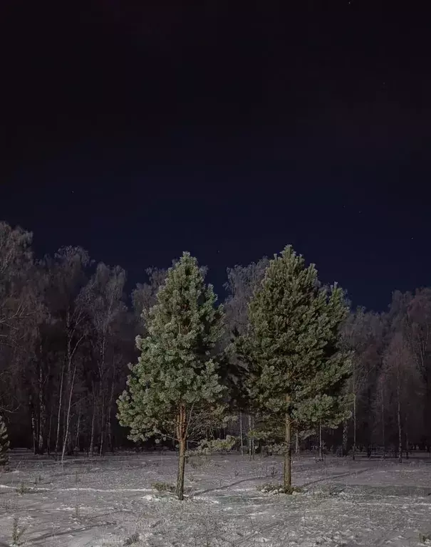 дом р-н Косихинский с Лосиха ул Лесная 2б разъезд, Баюновские Ключи фото 1