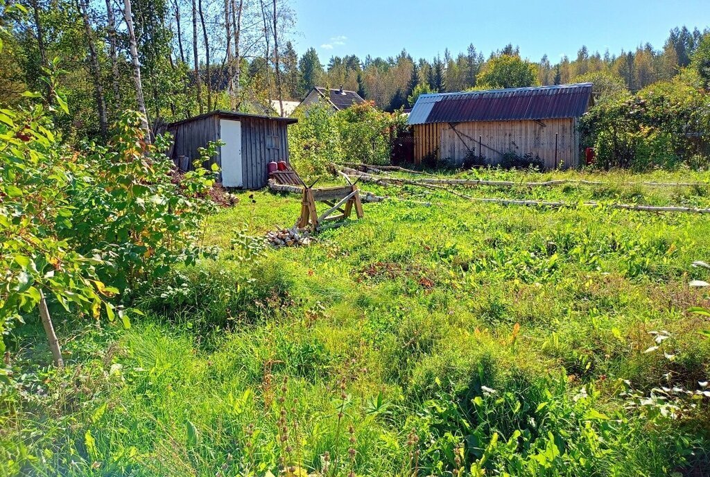 земля р-н Выборгский п Гаврилово ул Железнодорожная фото 5