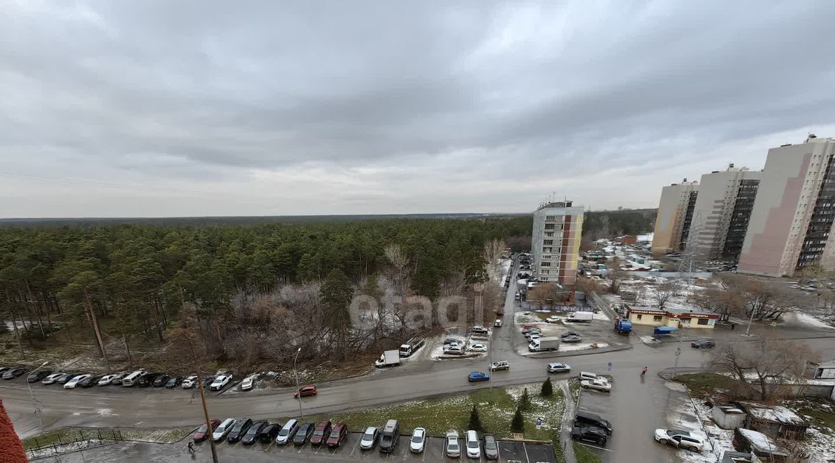 квартира г Новосибирск метро Площадь Гарина-Михайловского ул Сухарная 96/3 фото 8