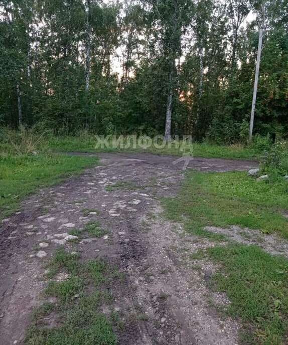 земля г Новосибирск метро Площадь Гарина-Михайловского р-н Дзержинский снт Печатник фото 3