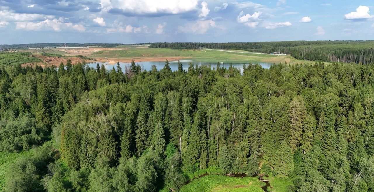 земля городской округ Дмитровский д Медведково 9757 км, 16, Икша, Рогачёвское шоссе фото 23