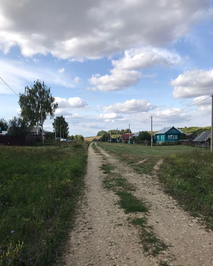 дом р-н Пестречинский с Пановка ул Первомайская Пановское сельское поселение, Пестрецы фото 7