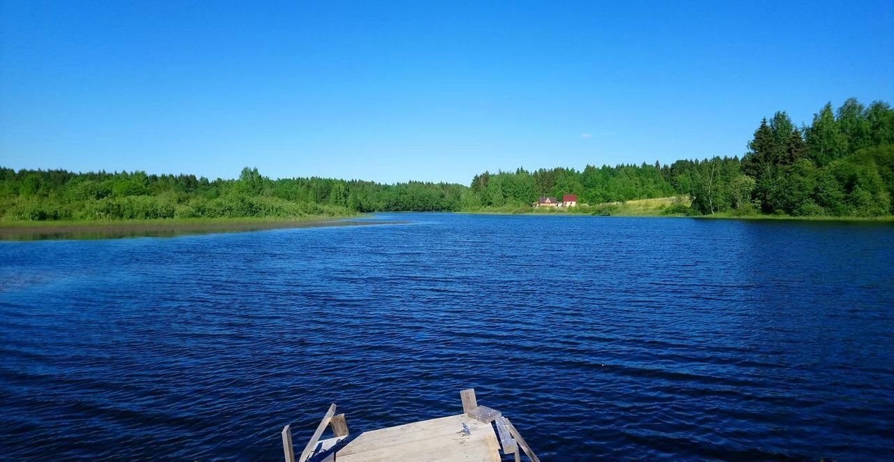 земля городской округ Шаховская с Черленково 120 км, Новорижское шоссе фото 3