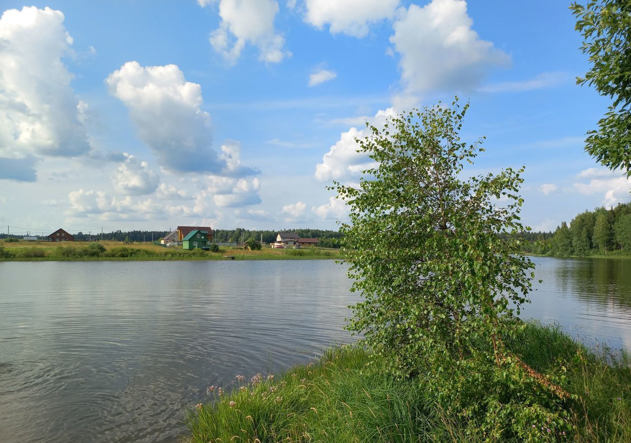 земля городской округ Шаховская с Черленково 120 км, Новорижское шоссе фото 13