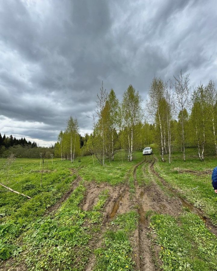 земля городской округ Дмитровский д Удино 31 км, Икша, Рогачёвское шоссе фото 17