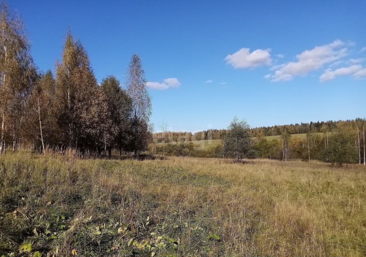 земля городской округ Дмитровский с Ольгово 9767 км, Яхрома, Рогачёвское шоссе фото 3