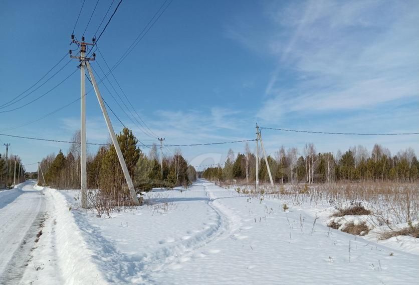 земля р-н Ялуторовский д Красный Яр Ялуторовск фото 5