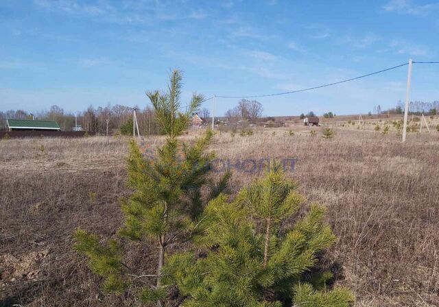 ул Шоссейная Богородск фото