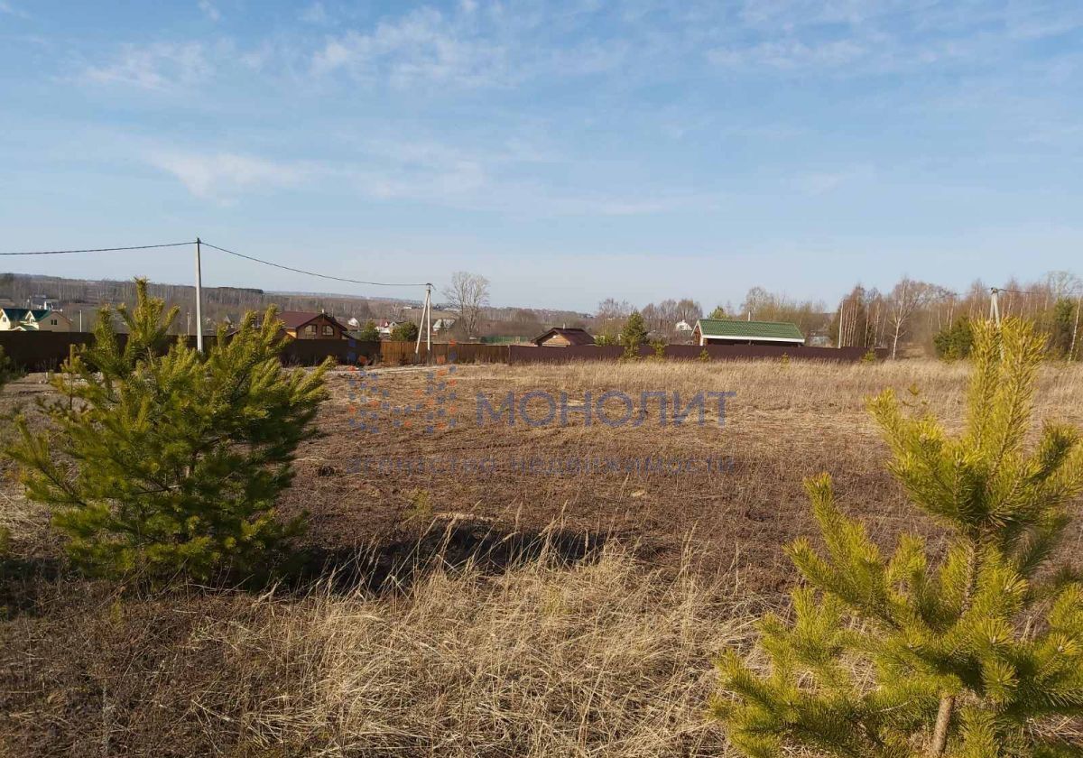 земля р-н Богородский д Непецино ул Шоссейная Богородск фото 5