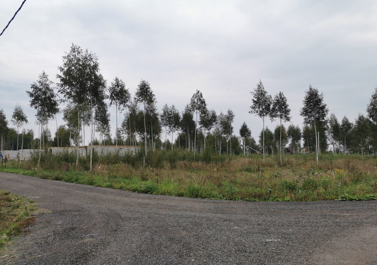 земля городской округ Пушкинский п Софрино 30 км, коттеджный пос. Новое Бортнево, 25, Ярославское шоссе фото 6