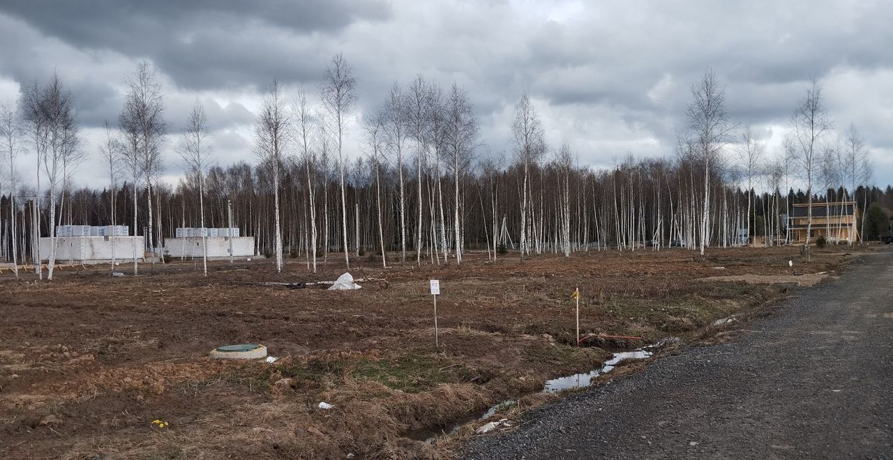 земля городской округ Пушкинский п Софрино 30 км, коттеджный пос. Новое Бортнево, 25, Ярославское шоссе фото 18