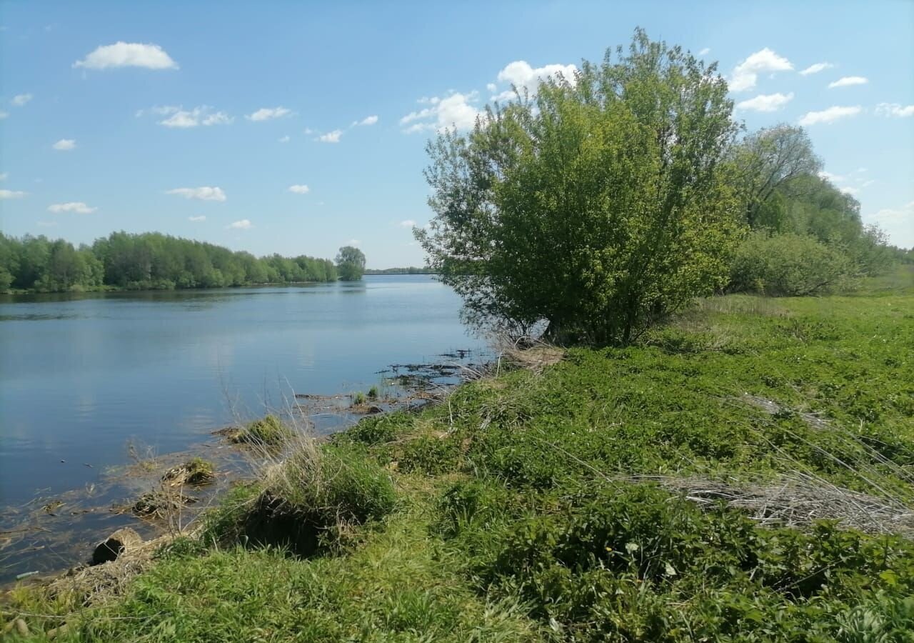 земля г Воскресенск снт Чайка городской округ Воскресенск, Белоозёрский фото 33