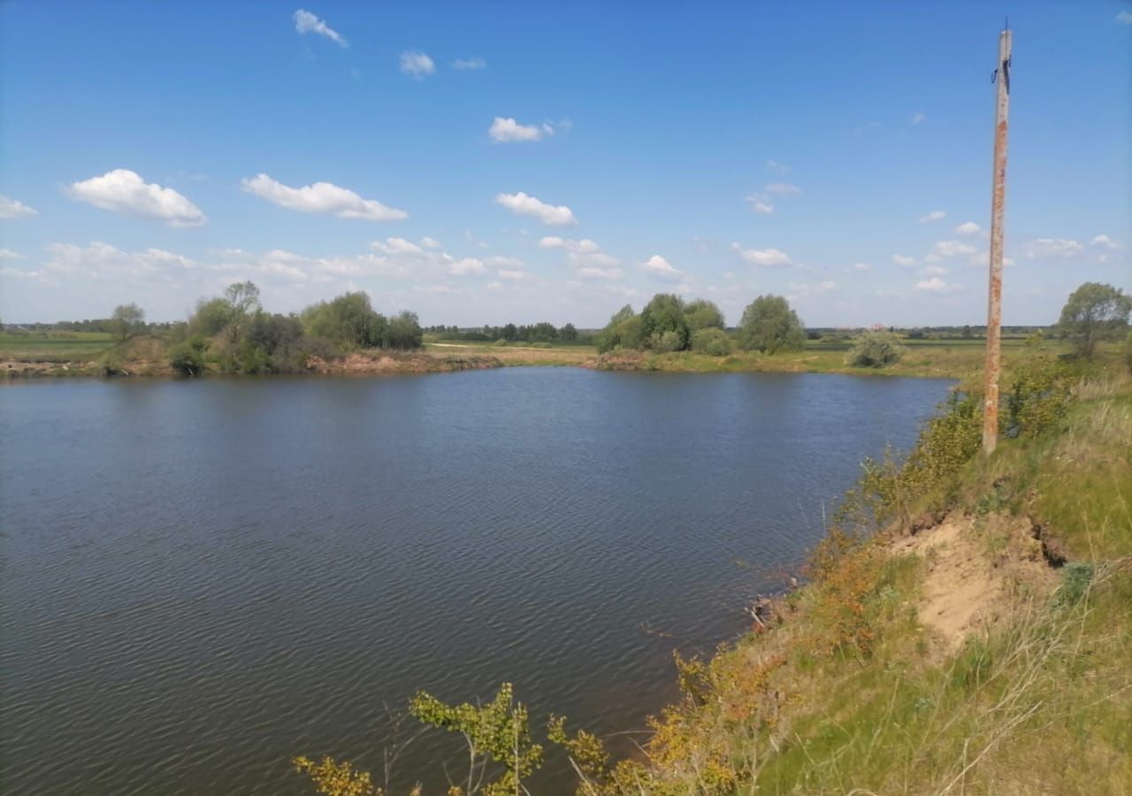 земля г Воскресенск снт Чайка городской округ Воскресенск, Белоозёрский фото 40