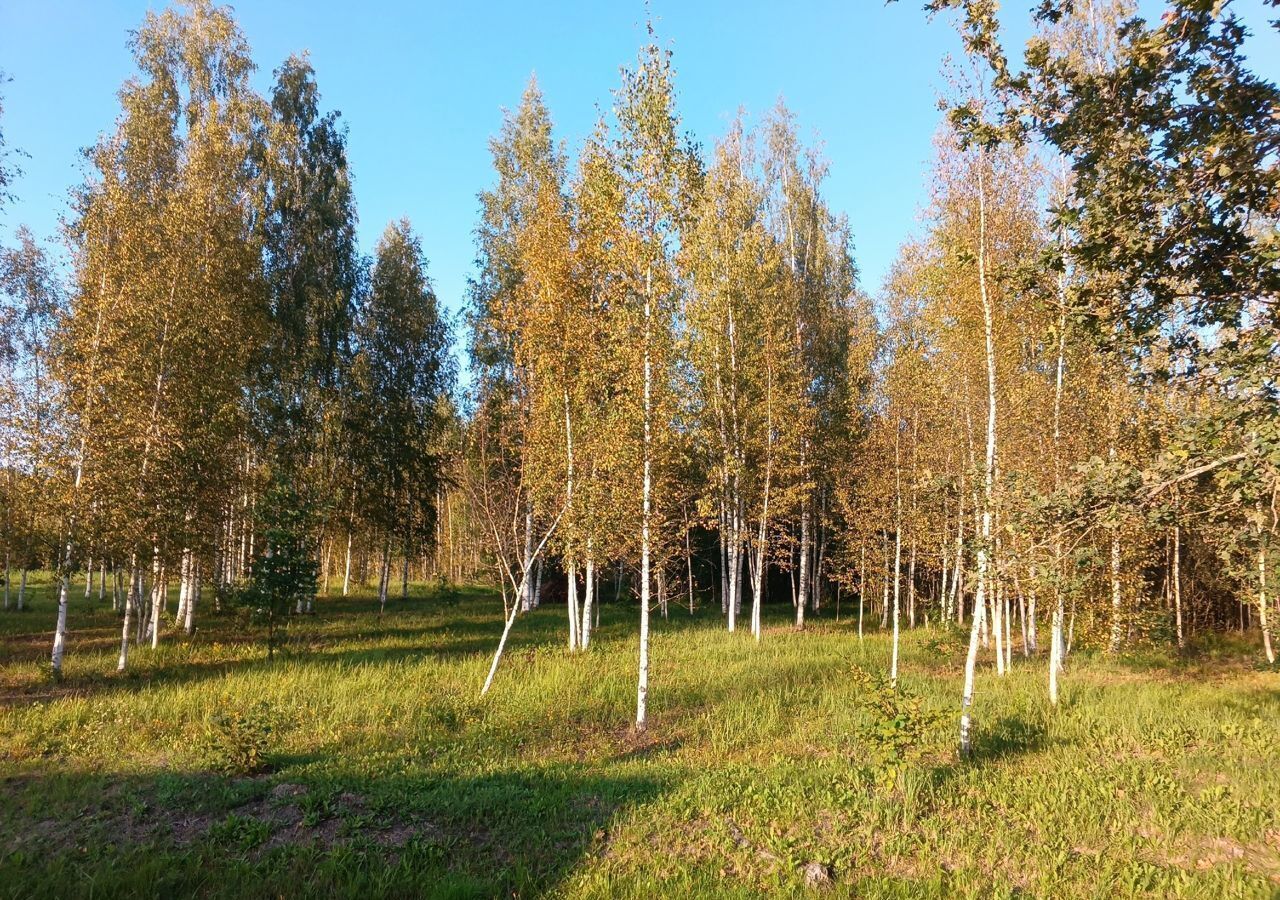 дом р-н Новгородский снт Экран Панковское городское поселение, садоводческий массив № 3, садоводческое товарищество, Панковка фото 16